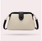 Chic Urban Messenger Bag